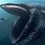 Biggest Ocean Animal in the World
