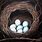 Bird Nest Painting