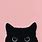 Black Cat Aesthetic Background