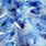 Blue Feather Background