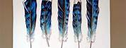 Blue Jay Feather Drawing