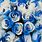 Blue White Roses