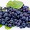 Blueberry Grape