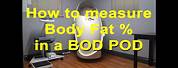 Bod Pod Body Fat Chart
