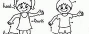 Body Parts Coloring Pages for Preschool