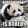 Bored Panda Funny Memes