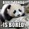 Bored Panda Memes