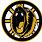 Boston Bruins Alternate Logo