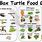 Box Turtle Food List