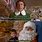 Buddy The Elf Quotes Funny