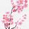 Bunga Sakura Vector