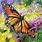Butterfly Artwork Images