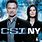 CSI NY Season 8