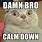 Calm Down Cat Meme