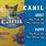 Canil Dog