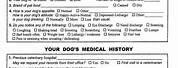 Canine Exam Forms Printable