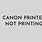 Canon Printer Not Printing