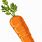 Cartoon Carrot Background
