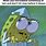 Cartoon Funny Spongebob Memes Clean