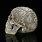 Carved Human Skull