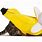 Cat Banana Costume