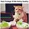 Cat Eating Salad Meme