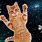 Cat Floating in Space