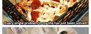 Cat Pizza Box Meme