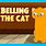 Cat Story for Kids