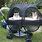 Cat Stroller for 2 Cats