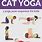 Cat Yoga Pose for Kids