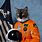 Cat in Astronaut Helmet
