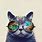 Cat with Hipster Glasses