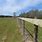 Cattle Fence Posts