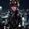 Catwoman DC Cartoon
