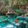 Cenotes En Tulum