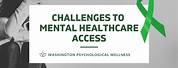 Challenges Mental Health Services