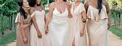 Champagne Wedding Dress with Bridal Party