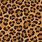 Cheetah Print Pattern