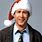 Chevy Chase Christmas Movie