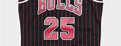 Chicago Bulls 25 Jersey