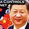China Control Internet