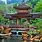 Chinese Zen Garden