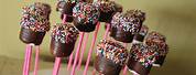 Chocolate Dipped Marshmallow Pops