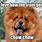 Chow Chow Dog Memes