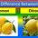 Citron vs Lemon