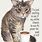Coffee Cat Quotes
