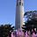 Coit Tower SF