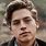 Cole Sprouse Real Hair Color