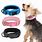 Collar Accessories for Dogs
